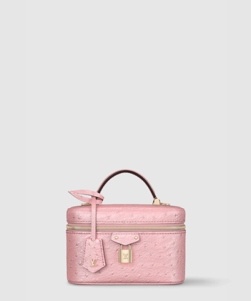 베니티 체인 파우치 N85820